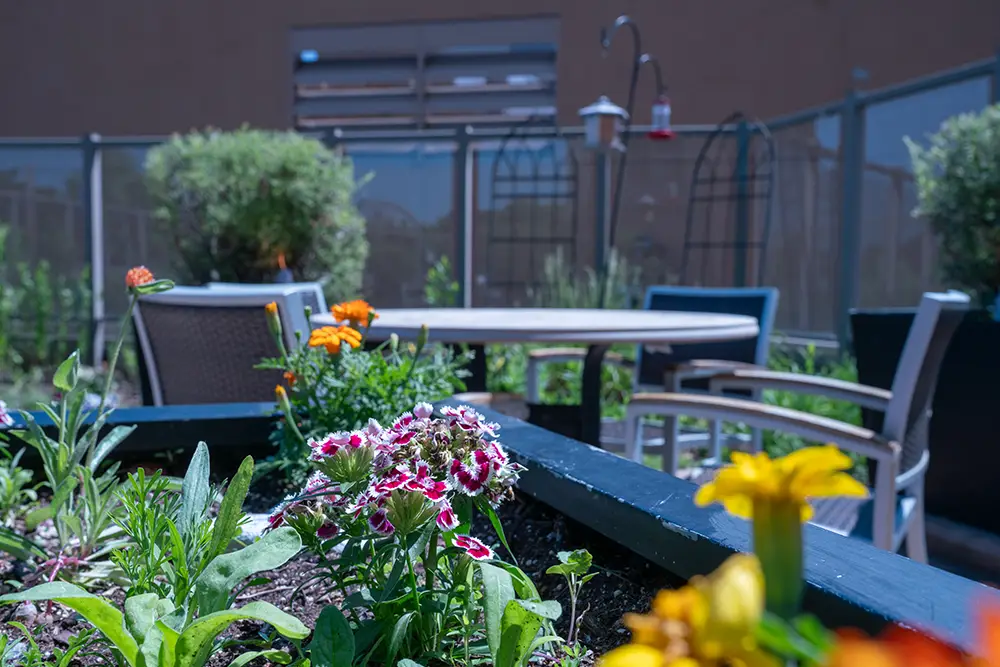 Outdoor patio at Sholom Senior Living features a round table, chairs, and vibrant flower beds with colorful blooms and green plants. The fenced area in the background includes bird feeders for residents to enjoy watching local birds.